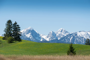 Fototapeta na wymiar Schneebedeckte Allgäuer Berge im Frühling