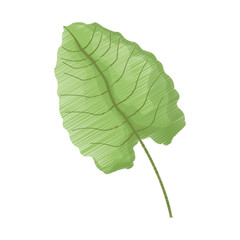 tropical leaf icon image vector illustration design 