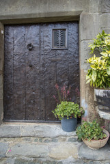 Pot with flowers on the wall background