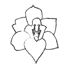 tropical flower icon image vector illustration design 