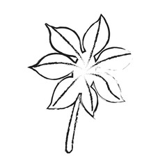 single leaf icon image vector illustration design 