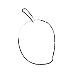 mango fruit icon image vector illustration design 