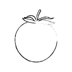 tomato fruit icon image vector illustration design 