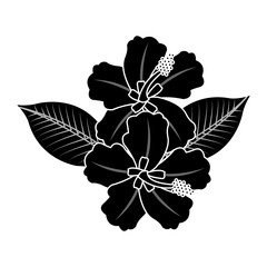 tropical flower icon image vector illustration design 
