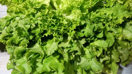 Fototapeta premium Lettuce, vegetables, garnish