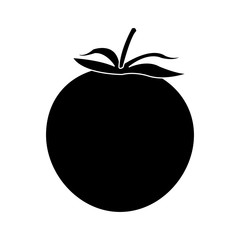 tomato fruit icon image vector illustration design 