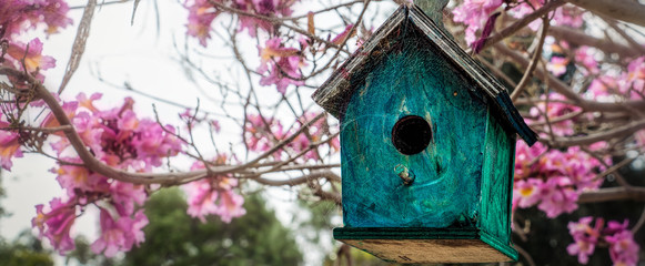 Birdhouse 2
