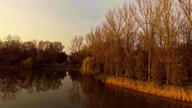Lake with willow tree at sunset
