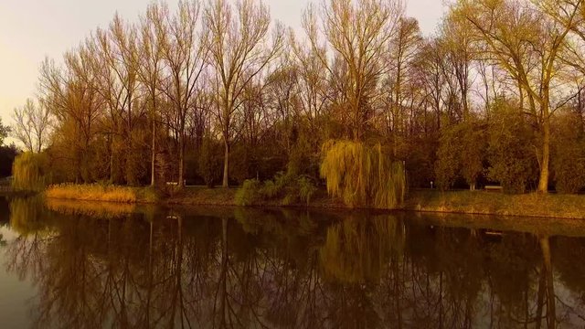 Lake with willow tree at sunset
