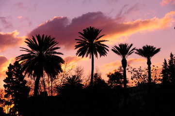 フェズからメクネスまで