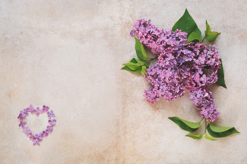 Background with lilac flowers and heart shaped frame