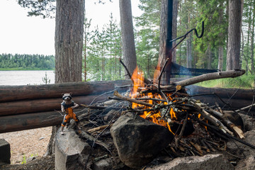 Lapland camping in the forrest of finland