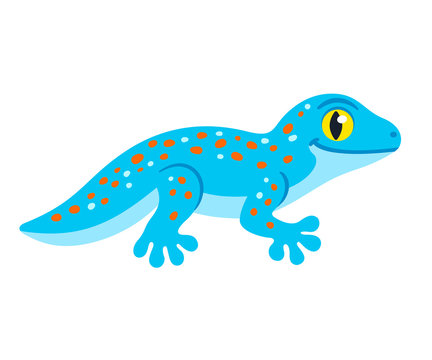 Gecko Cartoon Images – Browse 8,260 Stock Photos, Vectors, and Video |  Adobe Stock
