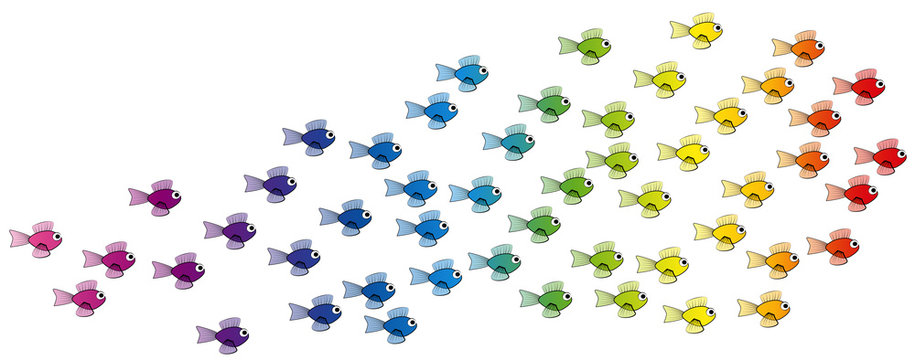 School of fish - rainbow colored young fish team - isolated vector comic illustration on white background.