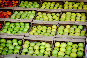 apples on market. Fresh Apple. apples background