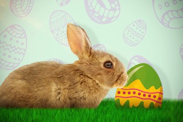 Composite image of side view of cute brown rabbit 