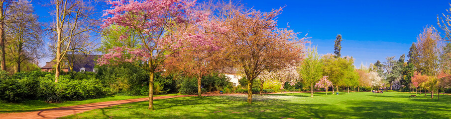Spring Park landscape. Panoramic view of a park