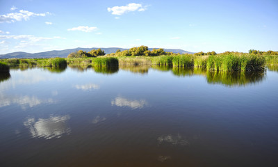 El Parque Nacional Tablas de Daimiel en la provincia de Ciudad Real, Espa&ntilde;a