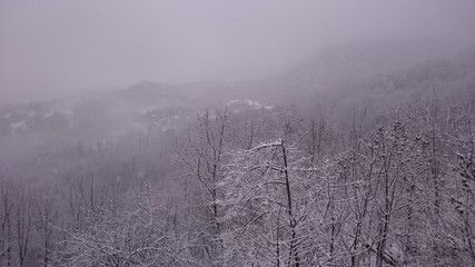 mist in snow
