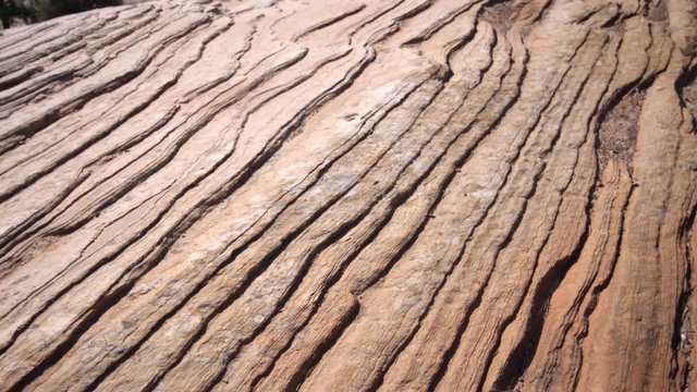Panning view of sandstone texture in Zion National Park