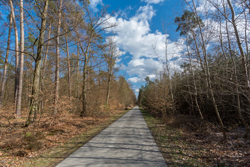 Bike Path In Autumn Under Blue Skies