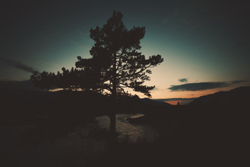 Dramatic wide angle view of pine tree silhouette near Katun mountain river on late sunset with mountains and hills in background and dark scenery teal summer sky, Altai, Russia