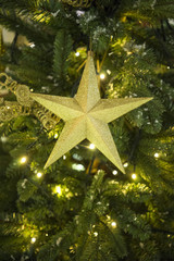 Golden Star on Christmas Tree