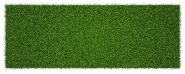 3d rendering of a grass patch isolated on white for architecture design or othe use