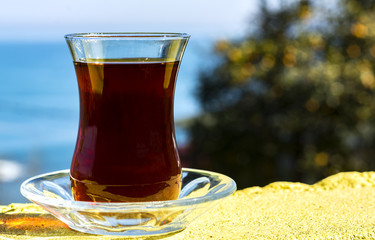 tea garden,