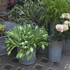 the bucket with a bouquet of white tulips and a vase with red roses as a decoration for the entrance of the house