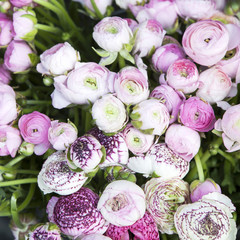 the background with bouquet of pink Ranunculaceae for sale