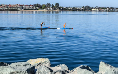 Paddle Boarders on San Diego Bay