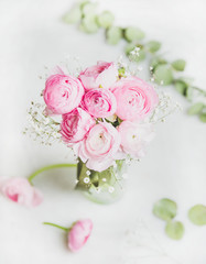 Light pink spring ranunkulus flowers on white background, selective focus, copy space, square crop. Spring greeting card concept