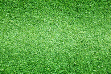 Obraz premium grass background Golf Courses green lawn