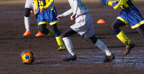 Naklejka premium サッカー フットボール