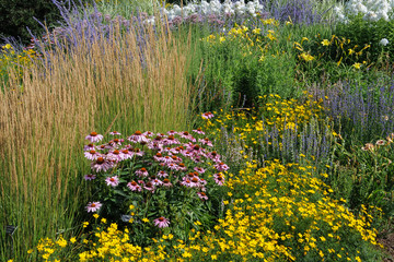 Field of wildflowers © Tammi Mild