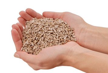 sunflower seeds are in female hands, handful of peeled sunflower seed