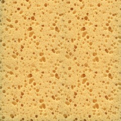 Yellow sponge close-up texture