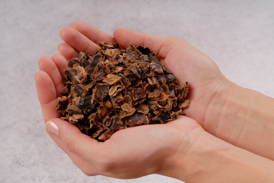 carob, fake chocolate, pieces of karob are in hands