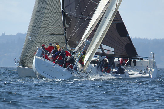 Sailboat Racing