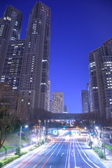 Tokyo night view