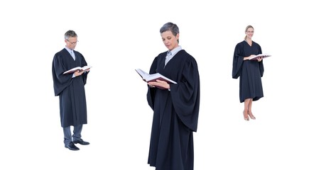 Judges group reading