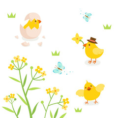Obraz na płótnie Canvas Cute chicks with Spring flower and Butterfly.
