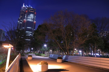 Tokyo night view