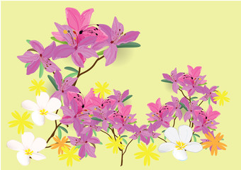 Azalea flowers  hand drawn watercolor brush design isolated picture for object or background