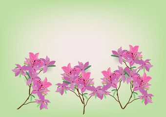 Obraz na płótnie Canvas Azalea flowers hand drawn watercolor brush design isolated picture for object or background
