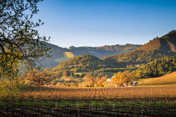 Sonoma Wine Country at Sunset