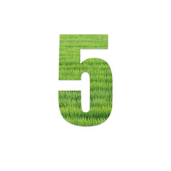 Number from green grass field texture on white background