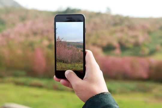 close-up hand hold phone taking landscape photo