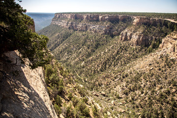 Mesa Verde